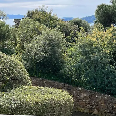 Telma Апартаменты *